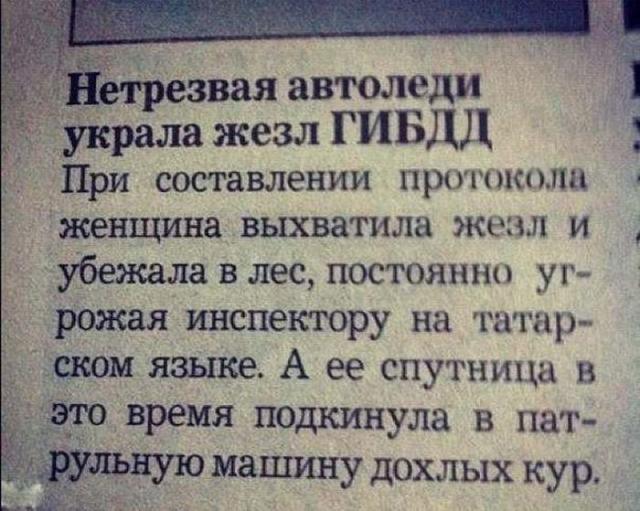 Веселые картинки в пятницу (20.02)