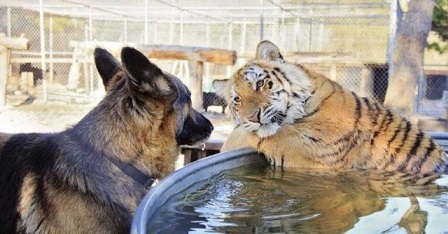 Это мои трусы