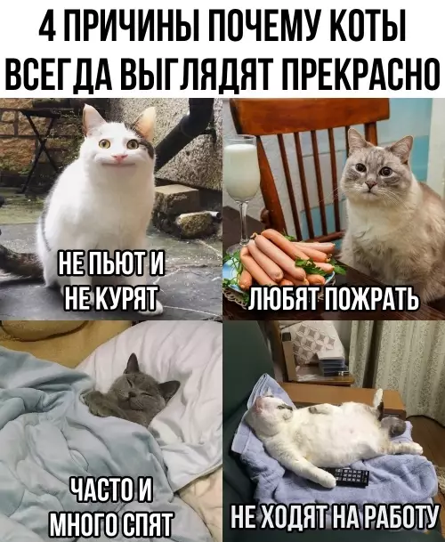 Картиночки, баянчики 10 марта