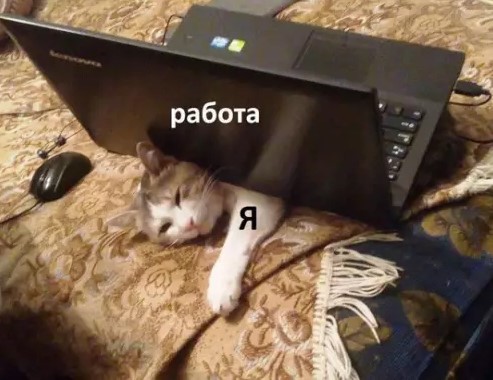 Котямбосы