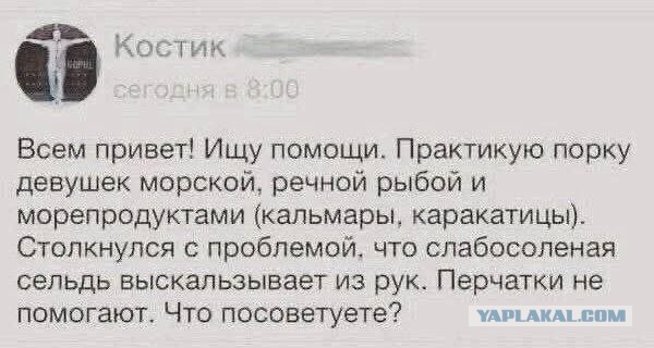 Картинки для деградации 167 (разной степени свежести)