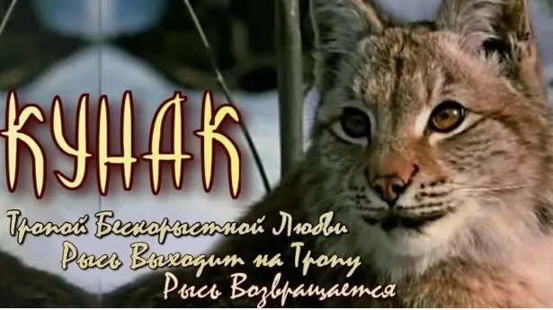 Знакомьтесь — рысь Пирожок