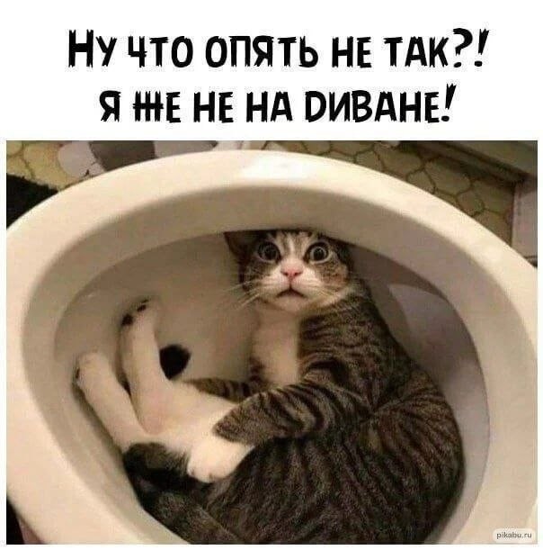 Улыбательные картинки