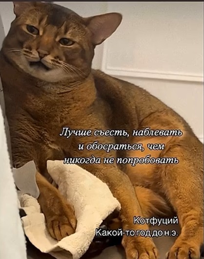 К котовторнику: подборка картинок-баянов с котиками и про котиков. Выпуск 39.