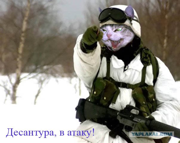 День ВДВ