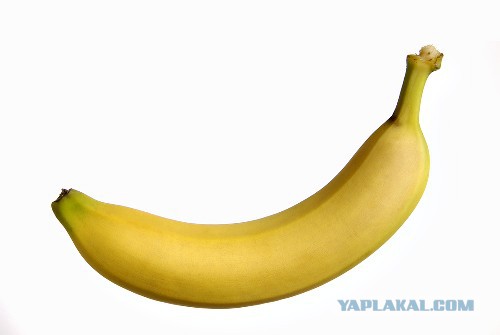 Короткий разговор...