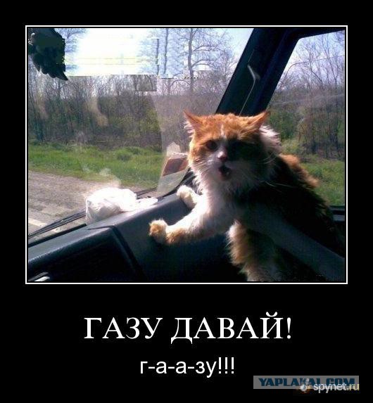 Женщина... увези меня отсюда!