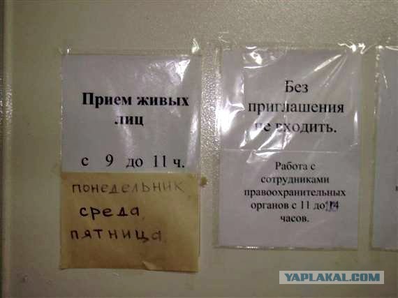 Весёлые картинки. Разбавим будни