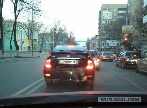 Позитивные картинки