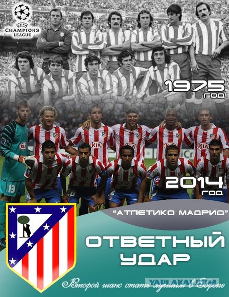 Спорт с улыбкой, интересности в сети