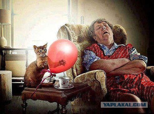 Картинки