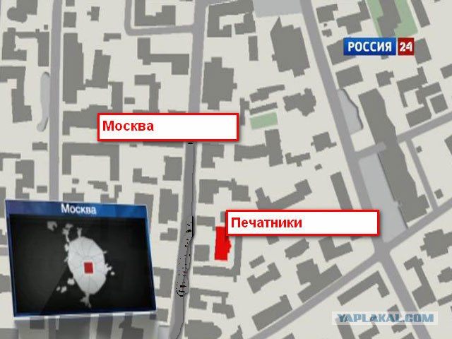Нашел на дачном участке.