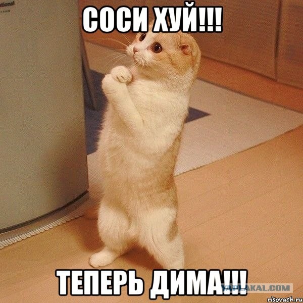 Продам "Айфоны" недорого