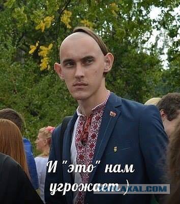 Смешные картинки