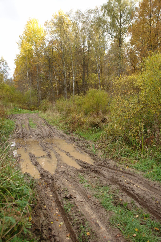 Наше все за МКАДом