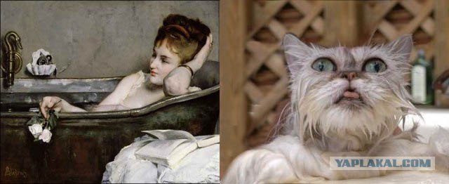 Коты и искусство