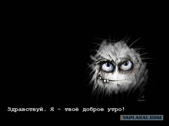 Подборка про спать