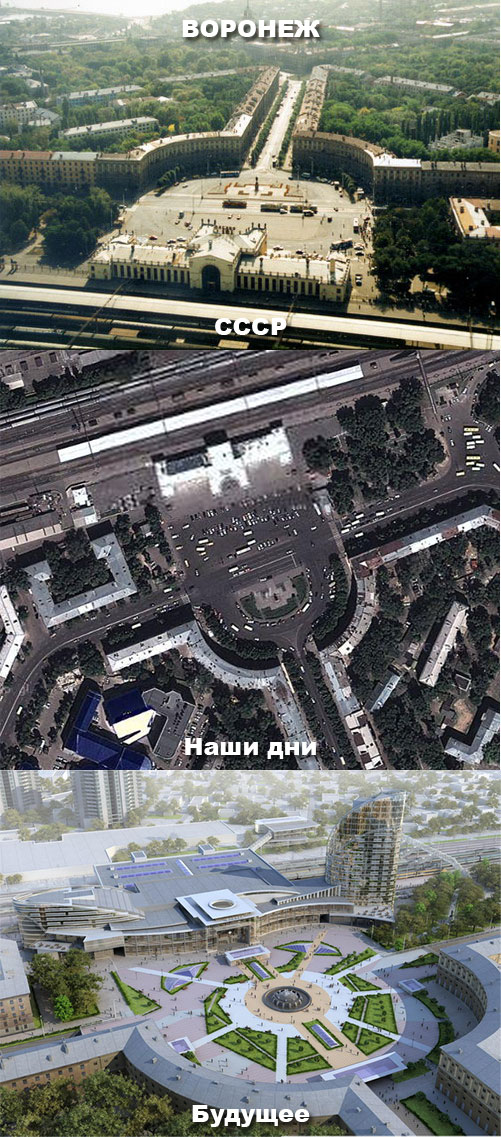 Когда деревья были большими