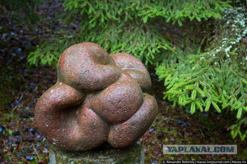 Женщина, которая ест...