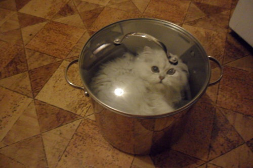 Фотоподборка очень удобных кастрюль