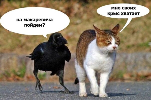 Машинист времени