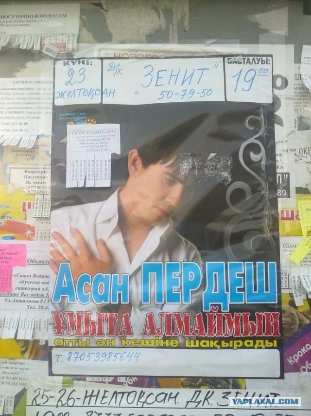 Братишка