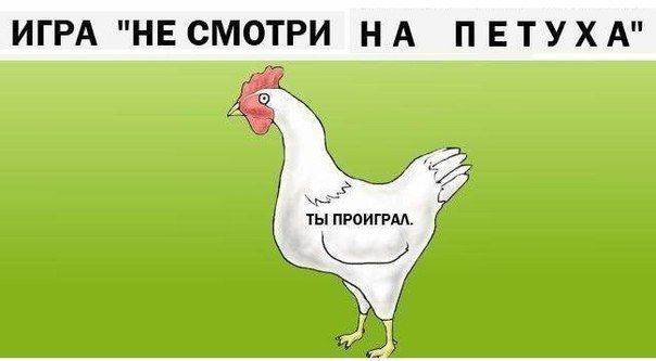 Подборка веселостей из сети