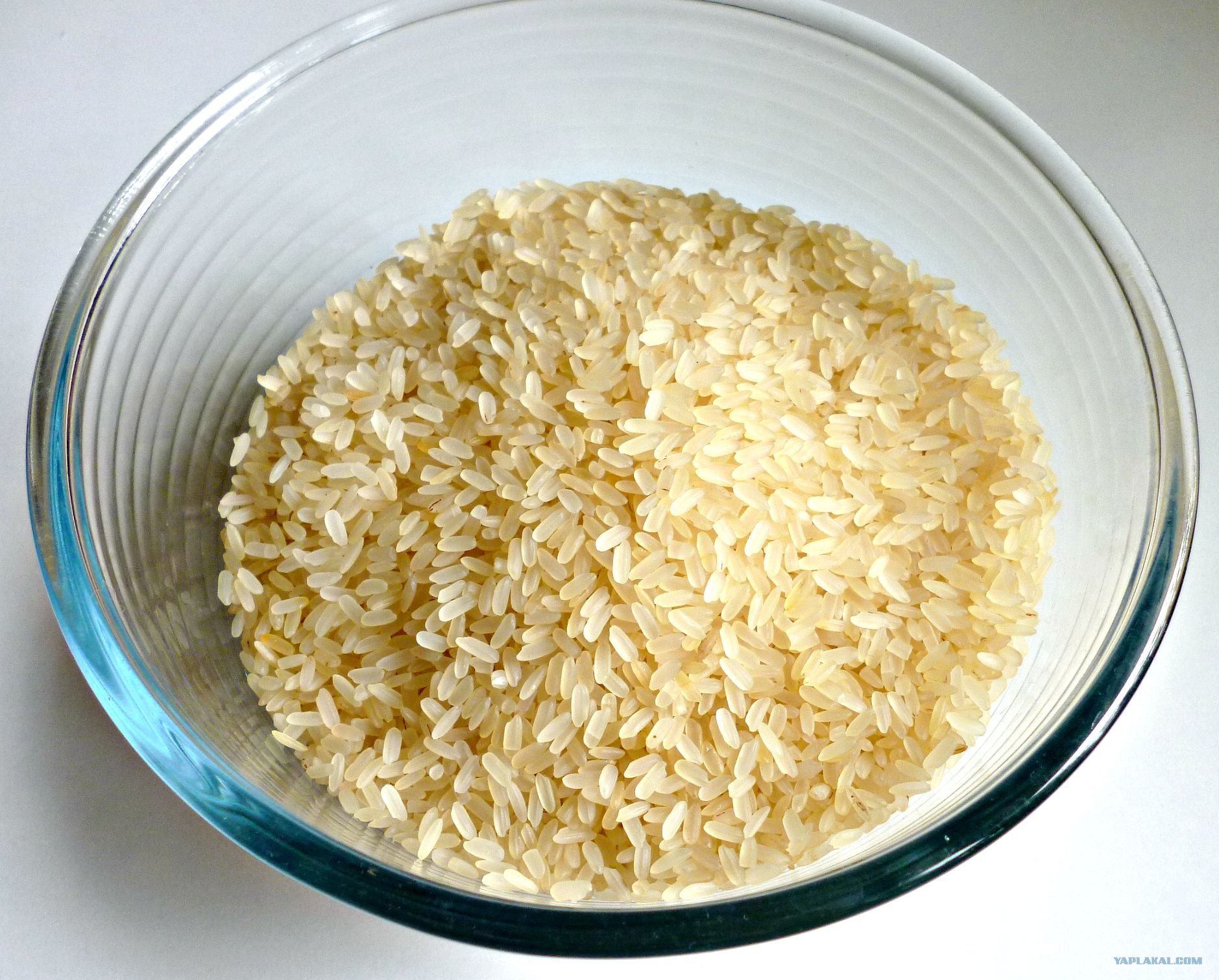 Замоченный рис