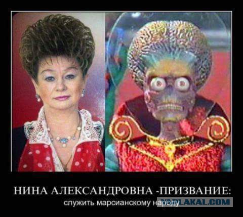 Надписи, вывески, объявления и другие буквы