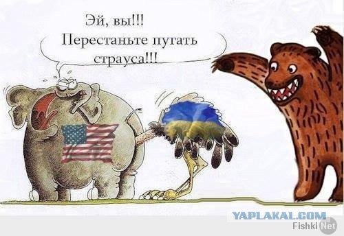 Подборка злободневных политических картинок
