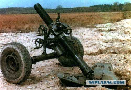 Дворкович пожаловался на дешевую рыбу