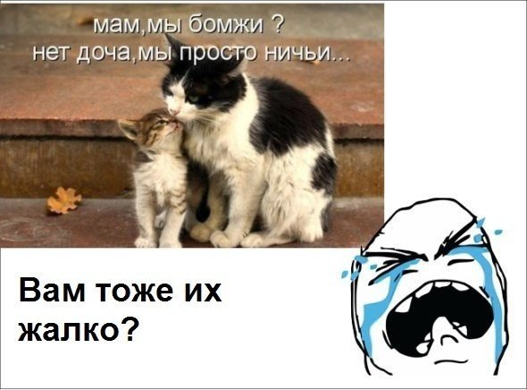 Разные картинки