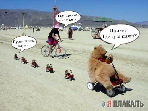 Превед медвед!