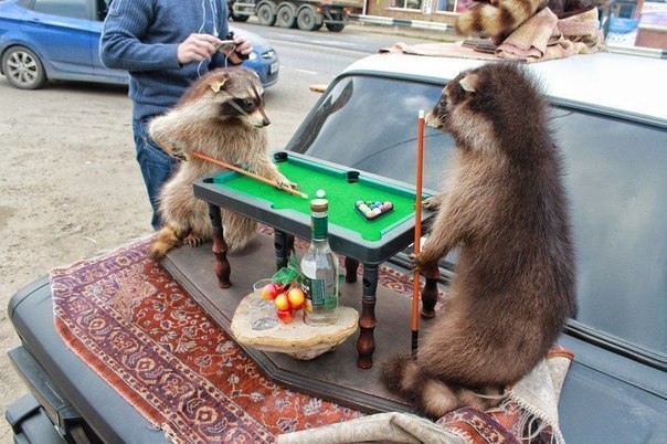 Ужасы и приколы из соцсетей 18+