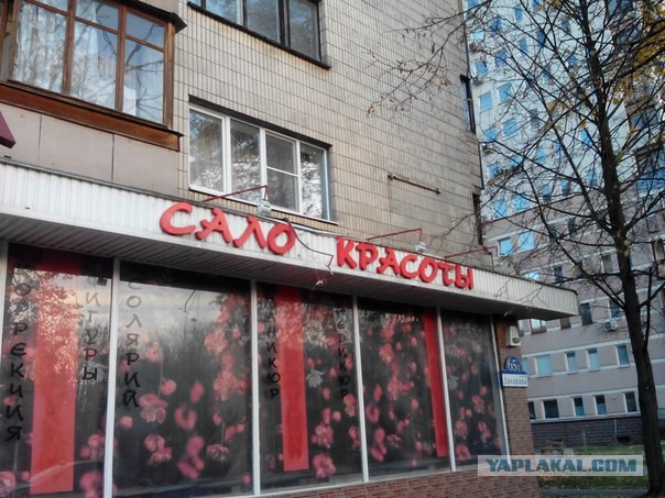 Картинки на среду
