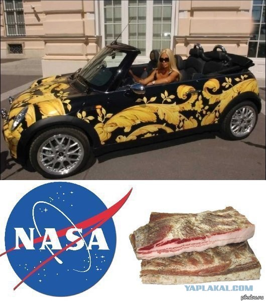 Про меркантильных баб