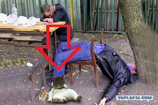 Скамейки Убийцы!