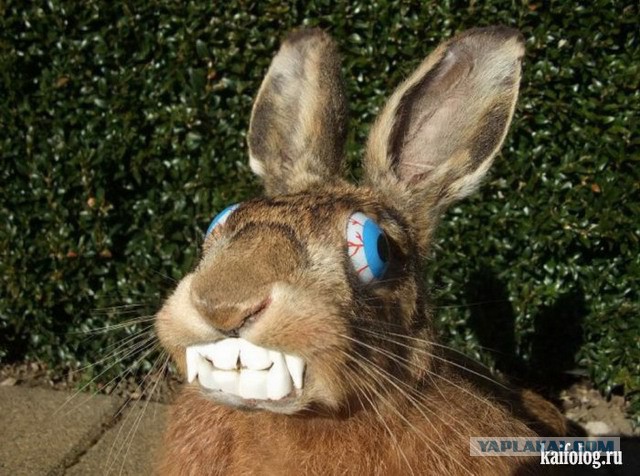 Дополнительные возможности Пятачка