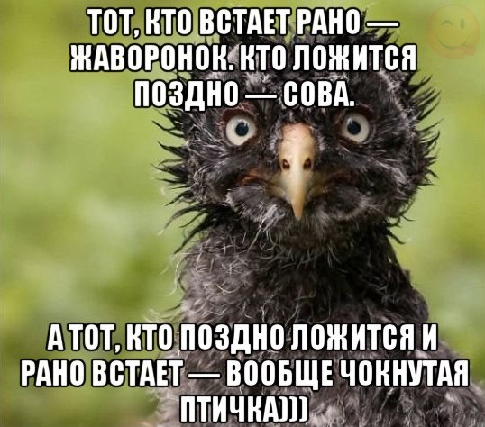 Случайные картинки