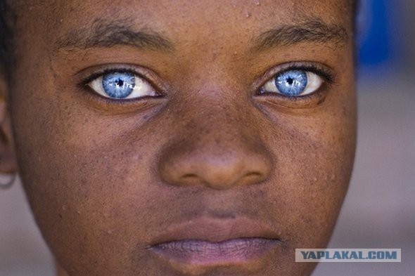 Этот ВЗГЛЯД!