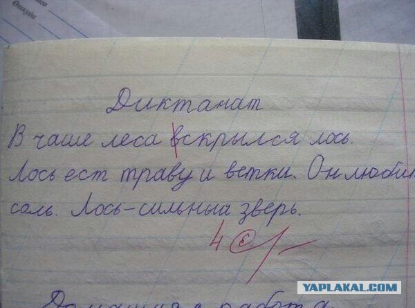 Идиотские надписи и маразмы в картинках