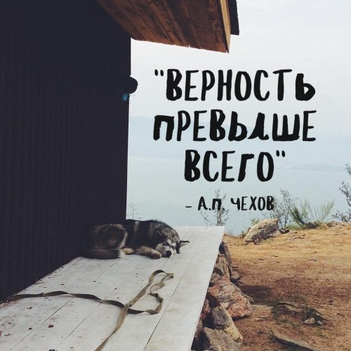Подборка картинок
