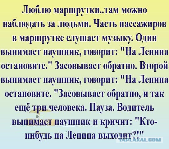 Наглая курица в маршрутке. Досталось бабушке по голове.... Очередное вранье свидетеля
