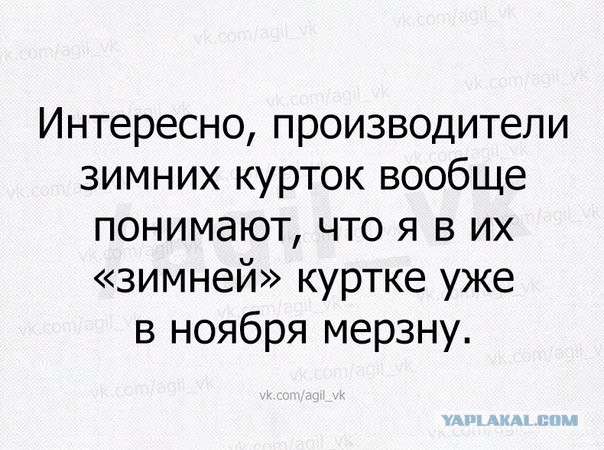 Смешные комментарии из социальных сетей 16.12.2016
