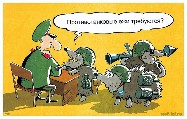 Смертник на джипе застрял во рву с водой.