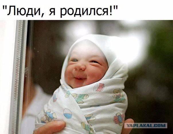 Подборка интересных и веселых фото