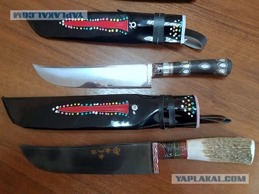 Продам Пчаки