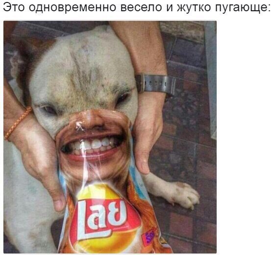 Слегка чёрный и абсурдный юмор к выходным