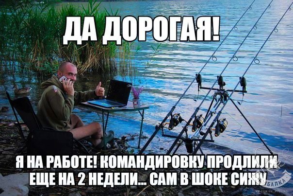 150 картинки для поднятия настроения!