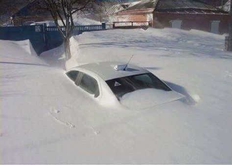 Картинок всяких